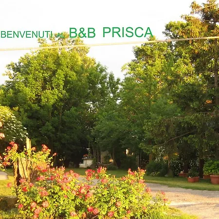 Prisca