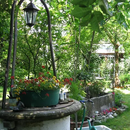 Prisca 3* San Pietro in Campiano